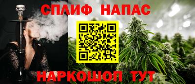 стаф Бузулук