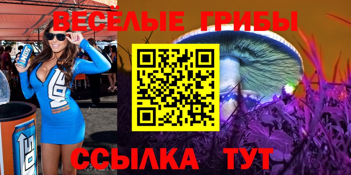 Можга  купить наркоту  Вход с VPN  Галлюциногенные грибы Psilocybe 