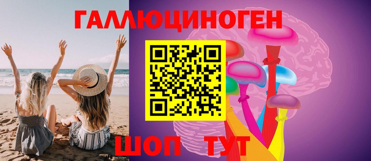 Псилоцибиновые грибы Cubensis Можга